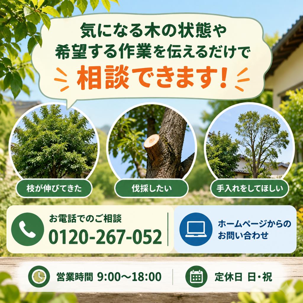 まずは無料見積りから。大村市の樹木管理をご相談ください