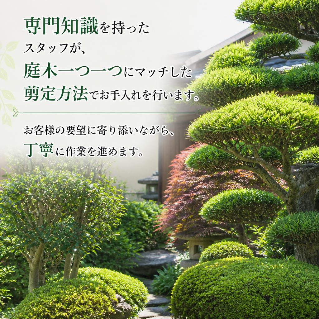 私たちの剪定サービス